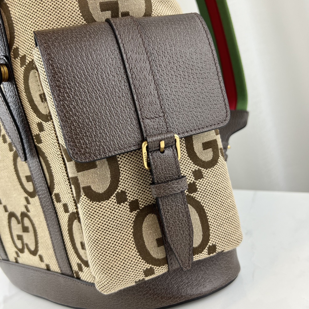 G*u*i backpack-34x42x16cm