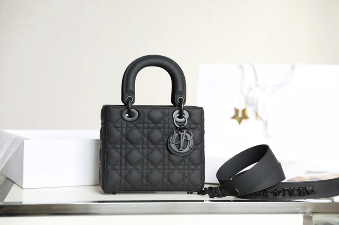 D*or lady bag-20*16.5*8cm