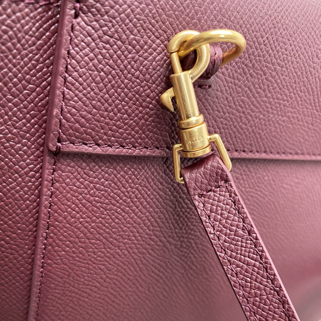 Celin Belt Bag