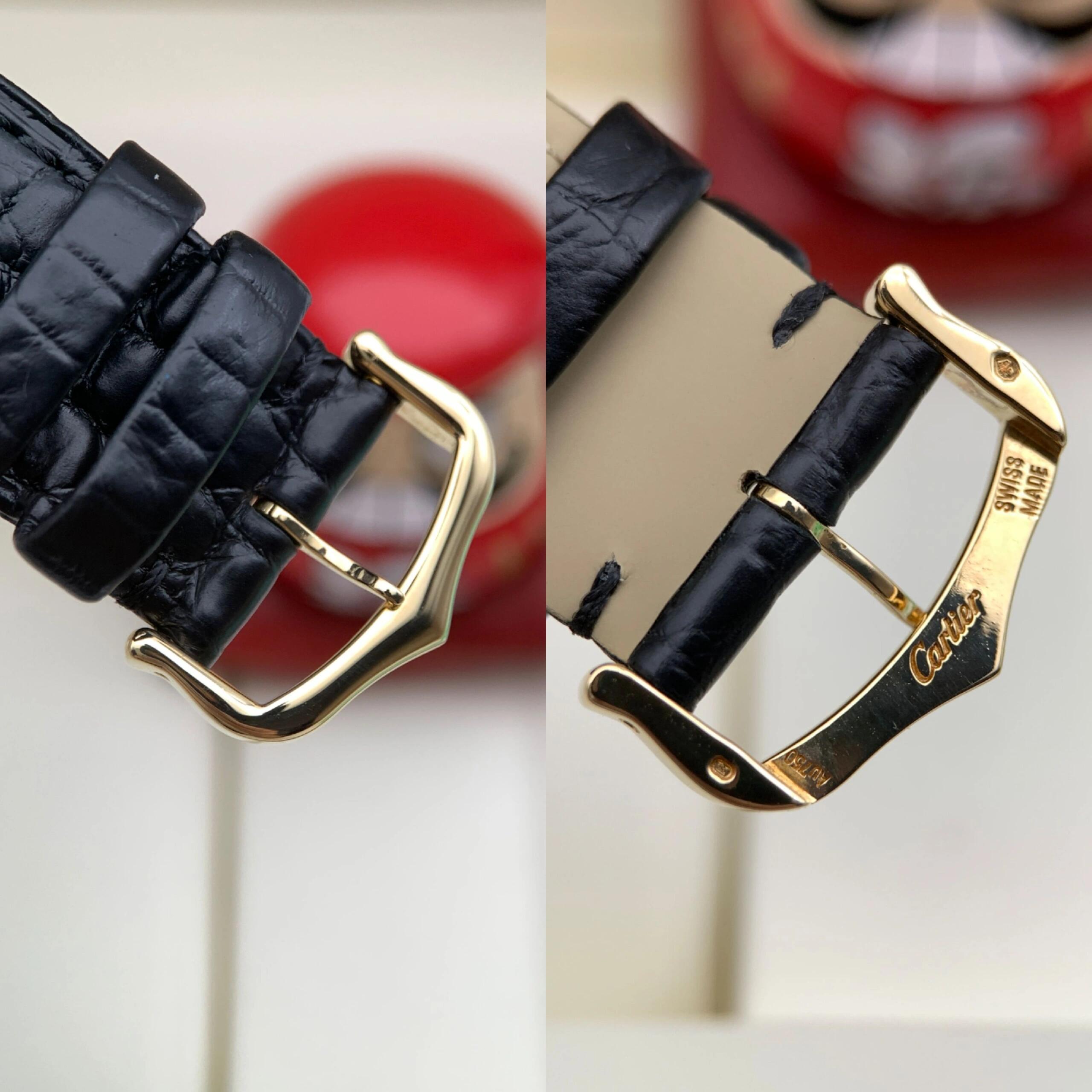Ca*t*er watch