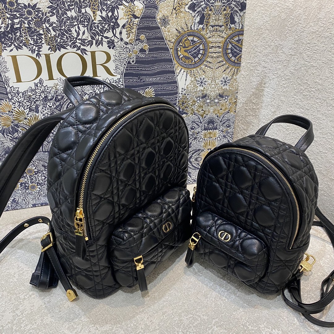 D*or backpack