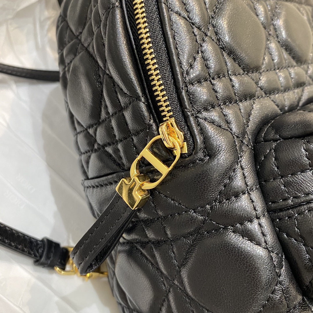 D*or backpack