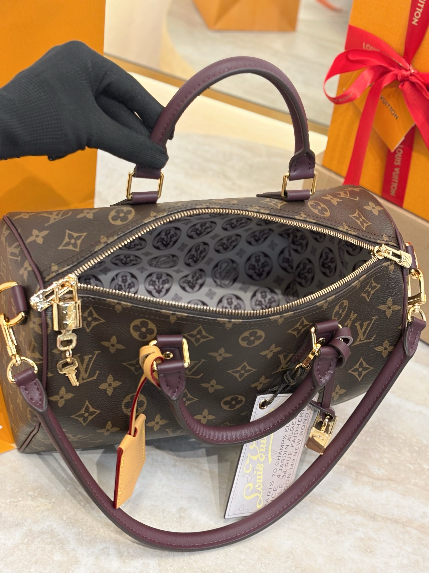 L0vis Vvtt0n Speedy Soft 30 Lucky-21 x 17 x 30CM